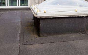 disadvantages of Fifehead Magdalen flat roofs