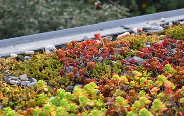 the cost of Fifehead Magdalen green roof installation