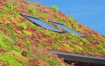 Fifehead Magdalen living roof systems