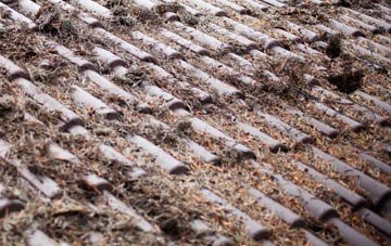 Fifehead Magdalen roof cleaning companies