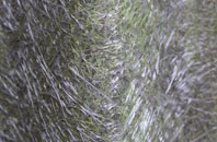 Fifehead Magdalen fibreglass roof work